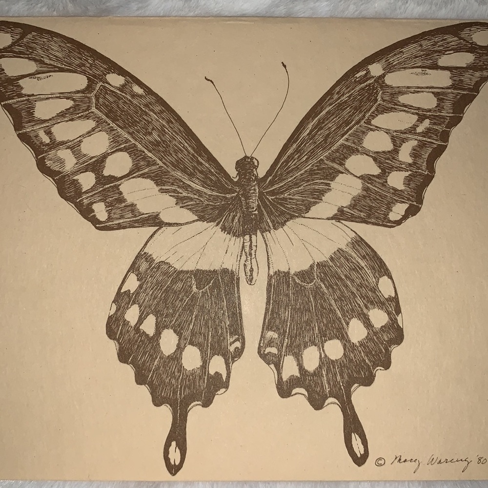 Vintage Butterfly Note Cards (Blank) Set of 25 with envelopes.